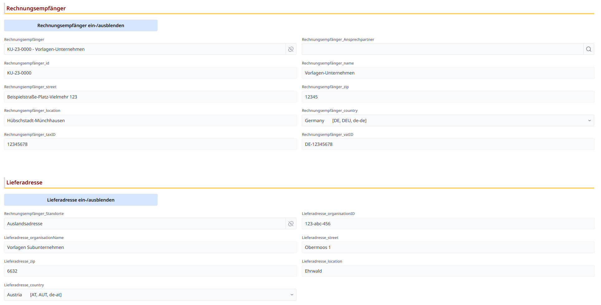Eingabe Rechnungsempfänger und Lieferadresse