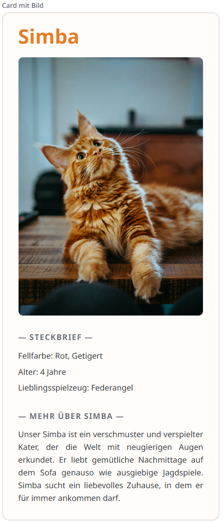 Beispiel Card Basic With Image